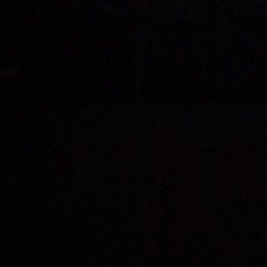 Meet your Posher, Lily